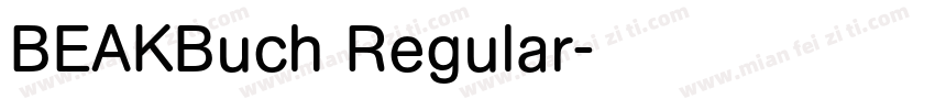 BEAKBuch Regular字体转换